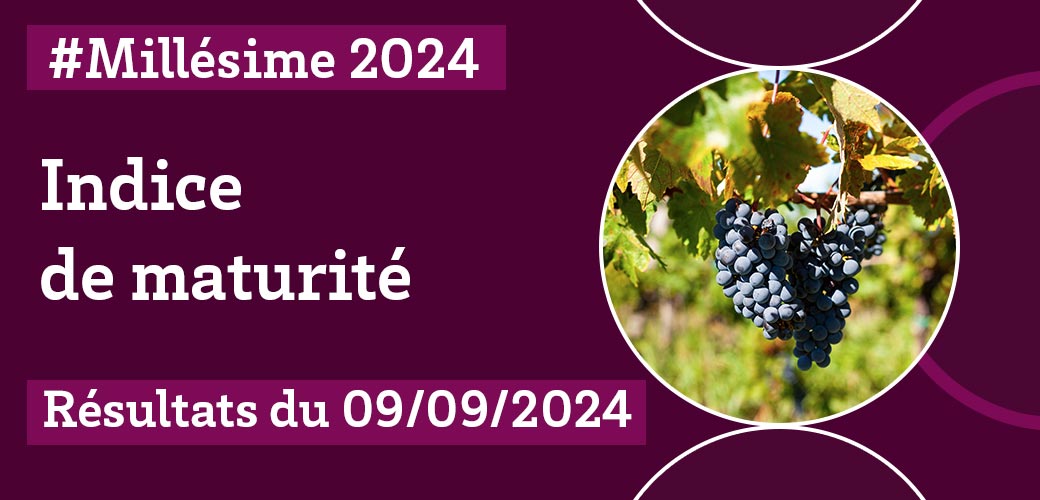 #Millésime 2024
